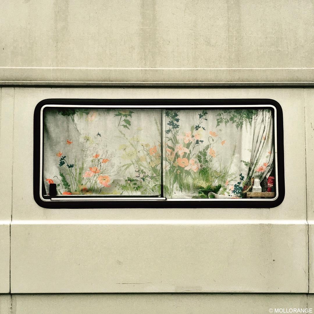 camper.fenster.prenzlberg MOLLORANGE